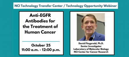 TTC Opportunity Webinar featuring an antibody technology conceived by Dr. David Fitzgerald of the NCI.