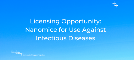 Licensing Opportunity: Nanomice for Use Against Infectious Diseases