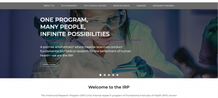 Image of IRP website home page